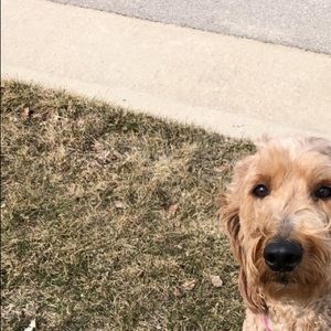 Meet your Posher, Paul